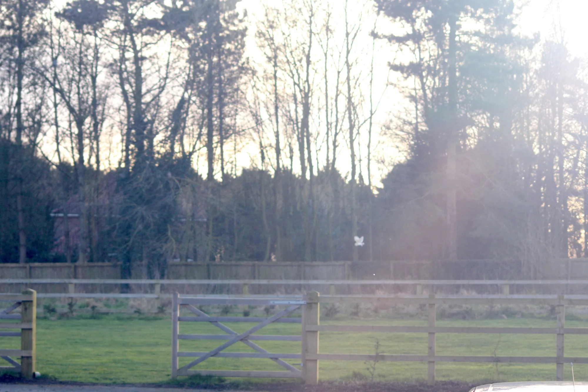 The paddock and open fields at Kellington Manor